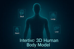 human body 3d